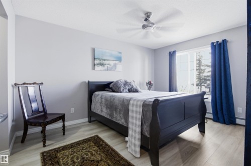 This inviting bedroom features light-toned flooring, a ceiling fan, and a large window with blue curtains - 115 2208 44 Avenue, Edmonton, AB - Indoor Photo Showing Bedroom