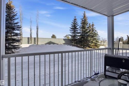 The property features a covered patio with a white railing, overlooking a snow-covered yard with mature evergreen trees and a fence - 115 2208 44 Avenue, Edmonton, AB - Outdoor With Exterior