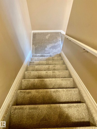 Stairway featuring baseboards and carpet - 403 178 Bridgeport Boulevard, Leduc, AB - Indoor Photo Showing Other Room