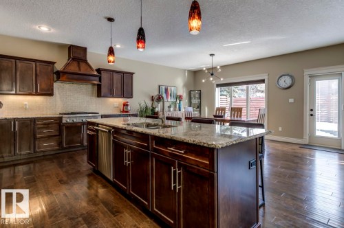 1005 Downey Way, Edmonton, AB - Indoor Photo Showing Kitchen With Double Sink With Upgraded Kitchen