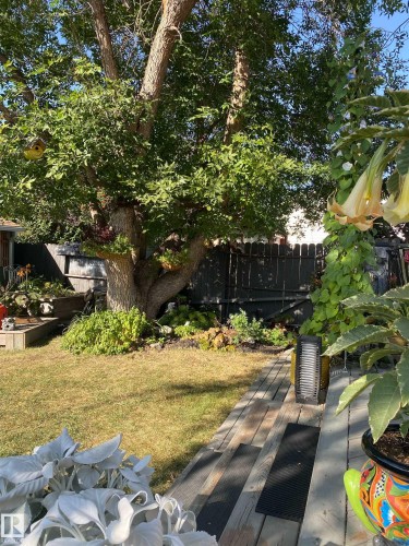 4664 16A Avenue, Edmonton, AB - Outdoor