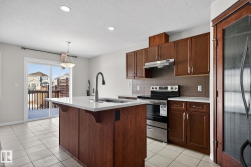 5258 20 Avenue, Edmonton, AB - Indoor Photo Showing Kitchen With Double Sink