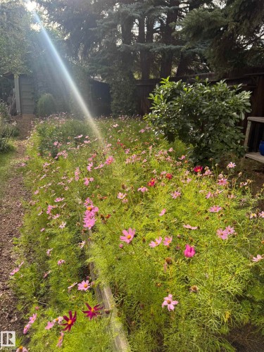 7024 105A Street, Edmonton, AB - Outdoor