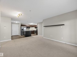 Open concept living space featuring carpeted flooring and light grey walls - 