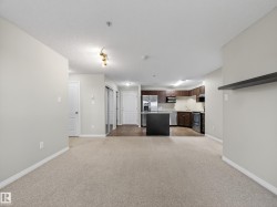 Open concept living space featuring neutral-toned carpeting, a modern kitchen with dark wood cabinetry and stainless steel appliances, and a central kitchen island - 