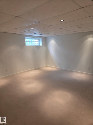 73 1428 Hodgson Way, Edmonton, AB - Indoor Photo Showing Basement
