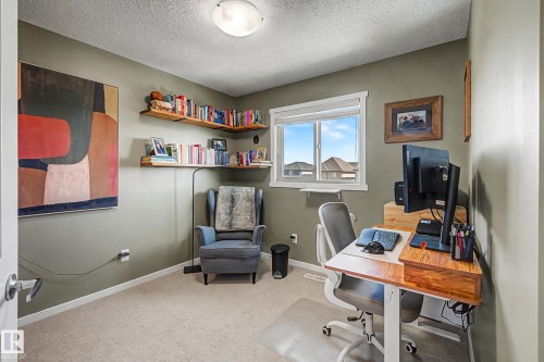 Home office featuring a textured ceiling and light carpet - 4110 Allan Crescent, Edmonton, AB - Indoor Photo Showing Office