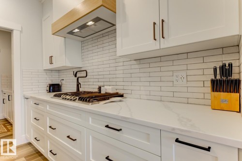 20484 128 Avenue, Edmonton, AB - Indoor Photo Showing Kitchen With Upgraded Kitchen