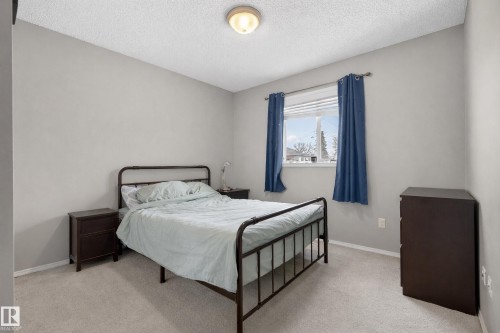 This room features light grey walls, light-colored carpeting, and a window providing natural light - 8109 85 Street, Edmonton, AB - Indoor Photo Showing Bedroom