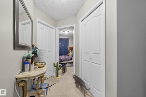 The property features a hallway with white paneled doors and light-colored walls - 8109 85 Street, Edmonton, AB - Indoor Photo Showing Other Room
