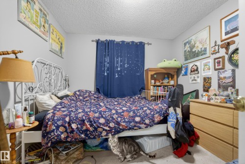 The room features light gray walls and a textured ceiling - 8109 85 Street, Edmonton, AB - Indoor Photo Showing Bedroom