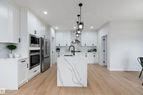 292 Fraser Way, Edmonton, AB - Indoor Photo Showing Kitchen With Upgraded Kitchen