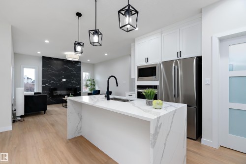 292 Fraser Way, Edmonton, AB - Indoor Photo Showing Kitchen With Upgraded Kitchen