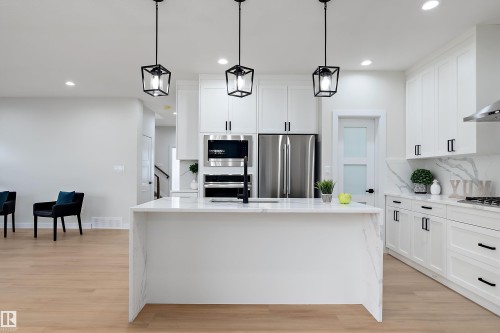 292 Fraser Way, Edmonton, AB - Indoor Photo Showing Kitchen With Upgraded Kitchen