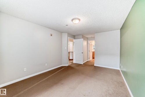 Spacious room with carpeted flooring, a ceiling-mounted light fixture, and a mix of light-colored and green painted walls - 102 111 Edwards Drive, Edmonton, AB - Indoor Photo Showing Other Room