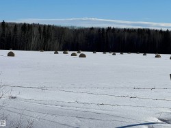 SE-12-49-8- W5M Rural Brazeau County, AB T0E 1Z0