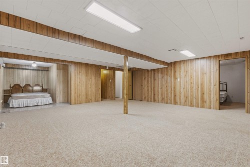 10670 153 Avenue, Edmonton, AB - Indoor Photo Showing Basement