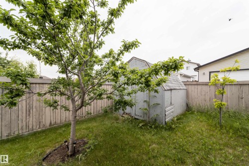 15920 38 Street, Edmonton, AB - Outdoor With Backyard