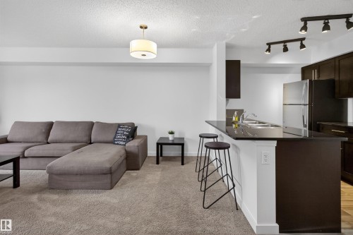 The property features an open-concept living area with carpeting, a kitchen with dark cabinetry, stainless steel appliances, and a breakfast bar, and a ceiling light fixture - 311 12035 22 Avenue, Edmonton, AB - Indoor
