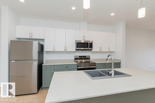 The kitchen features stainless steel appliances, a double basin sink, and a large countertop - 9652 Colak Link Link, Edmonton, AB - Indoor Photo Showing Kitchen With Double Sink With Upgraded Kitchen