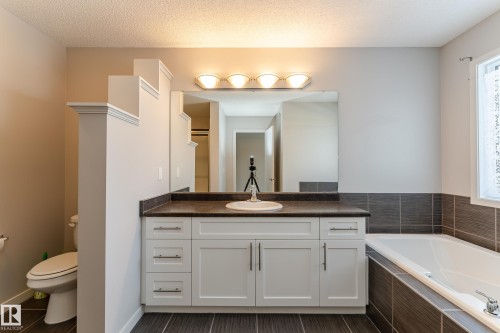3241 Abbott Crescent, Edmonton, AB - Indoor Photo Showing Bathroom
