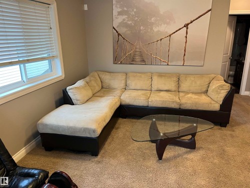 The living area features a window with blinds, carpeted flooring, and a neutral wall color - 21917 95A Avenue, Edmonton, AB - Indoor Photo Showing Living Room