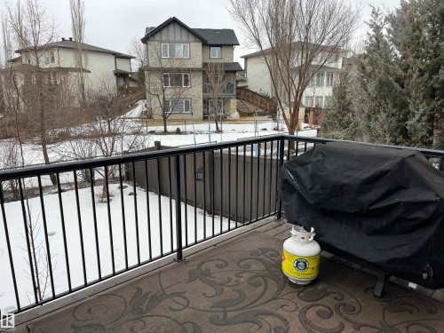 The property features a private deck with a black metal railing and a patterned outdoor rug, overlooking a backyard with a fence and trees - 21917 95A Avenue, Edmonton, AB - Outdoor