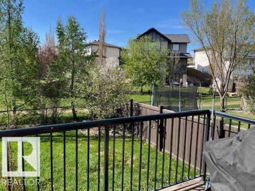 Expansive backyard featuring a lush lawn, mature trees, and a dark wood fence - 21917 95A Avenue, Edmonton, AB - Outdoor