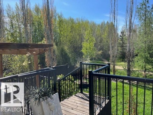 Wood-finish decking with black metal railing, overlooking a green space with mature trees - 21917 95A Avenue, Edmonton, AB - Outdoor