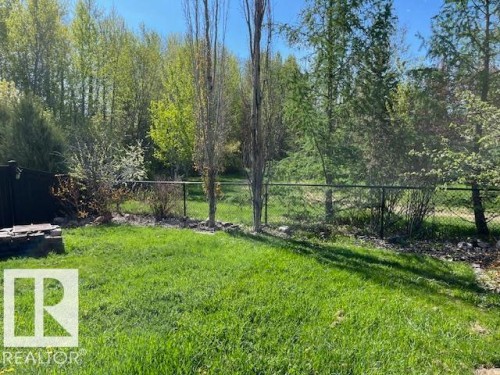 Expansive grassy area featuring a chain-link fence, mature trees, and natural landscaping - 21917 95A Avenue, Edmonton, AB - Outdoor With View