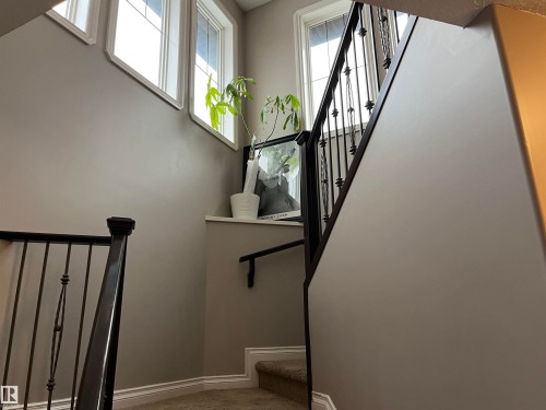 Staircase featuring wrought iron railings, a wall-mounted handrail, and windows providing natural light - 21917 95A Avenue, Edmonton, AB - Indoor Photo Showing Other Room