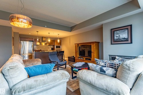 310 2510 109 Street, Edmonton, AB - Indoor Photo Showing Living Room