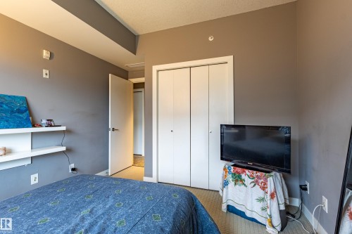 310 2510 109 Street, Edmonton, AB - Indoor Photo Showing Bedroom