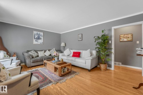 12032 55 Street Nw, Edmonton, AB - Indoor Photo Showing Living Room