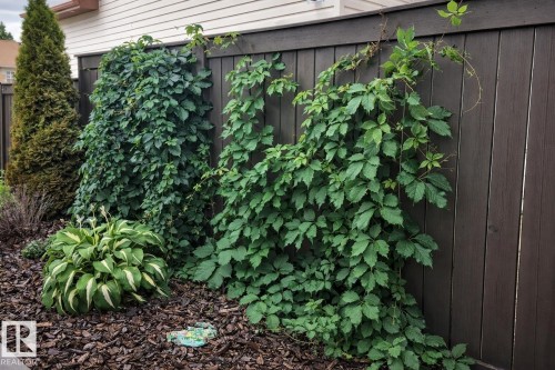 2011 7 Avenue, Cold Lake, AB - Outdoor