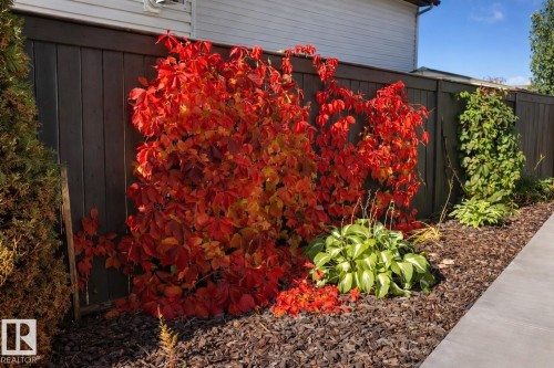 2011 7 Avenue, Cold Lake, AB - Outdoor