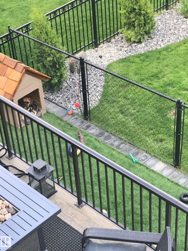 The property features a fenced yard with a lawn and stone landscaping - 1003 Huckell Place, Edmonton, AB - Outdoor With Balcony With Exterior