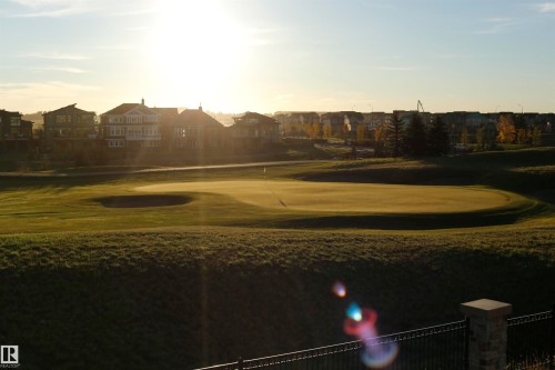 Expansive golf course views featuring a putting green and a sand trap, with residential properties visible in the background - 1003 Huckell Place, Edmonton, AB - Outdoor With View
