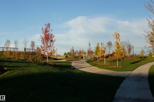 The property features landscaped green spaces with established trees and paved pathways - 1003 Huckell Place, Edmonton, AB - Outdoor With View