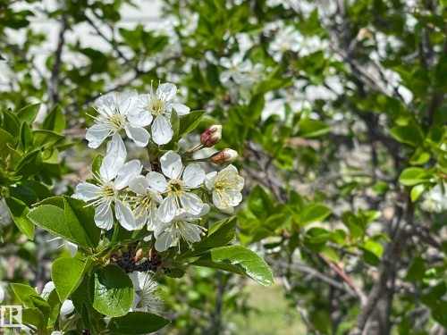 4606 Labrador Road, Cold Lake, AB -  With View