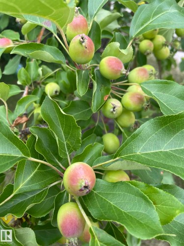 4606 Labrador Road, Cold Lake, AB - 