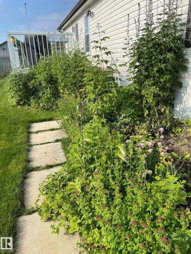 4606 Labrador Road, Cold Lake, AB - Outdoor