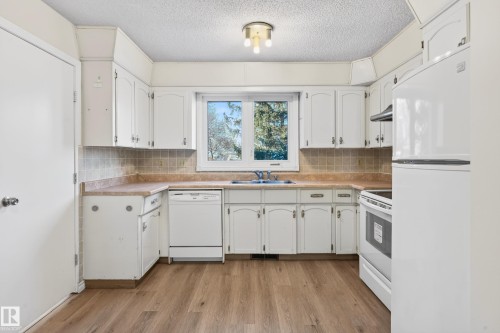 3626 103B Street, Edmonton, AB - Indoor Photo Showing Kitchen With Double Sink
