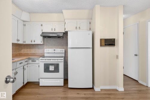 3626 103B Street, Edmonton, AB - Indoor Photo Showing Kitchen