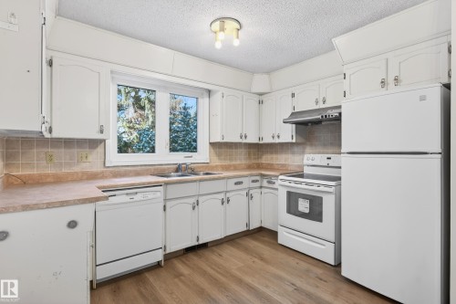 3626 103B Street, Edmonton, AB - Indoor Photo Showing Kitchen With Double Sink