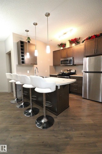 110 1144 Adamson Drive, Edmonton, AB - Indoor Photo Showing Kitchen