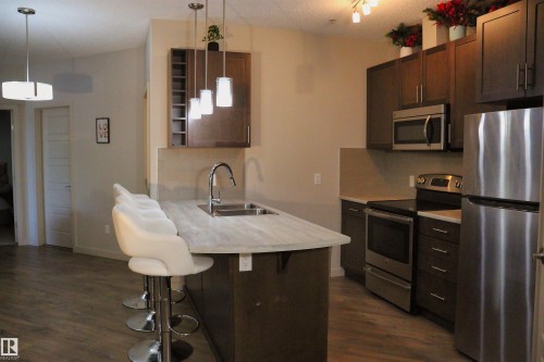 110 1144 Adamson Drive, Edmonton, AB - Indoor Photo Showing Kitchen With Double Sink With Upgraded Kitchen