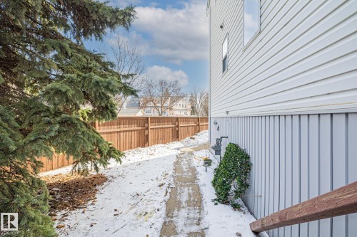 The property features a private side yard with a paved pathway, a wooden fence, and mature evergreen trees - 9321 92 Street, Edmonton, AB - Outdoor