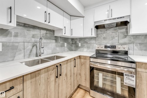 4616 32 Avenue, Edmonton, AB - Indoor Photo Showing Kitchen With Double Sink With Upgraded Kitchen