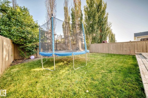 Fenced backyard with a trampoline - 14 Spring Gate, Spruce Grove, AB - Outdoor